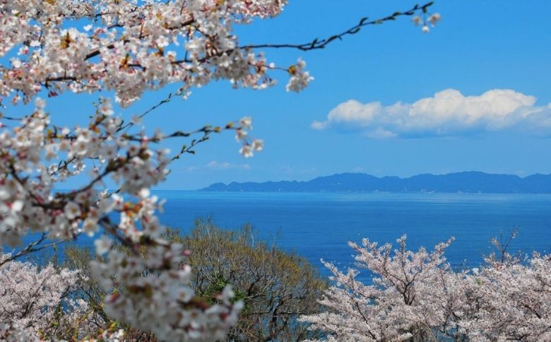 ピクニックスポット