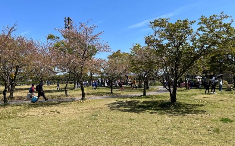 ピクニングスポット