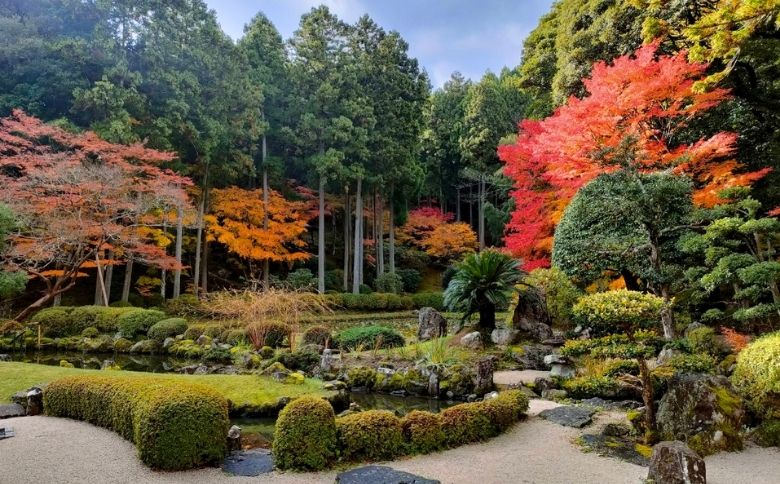 勝定寺（しょうじょうじ）の庭園