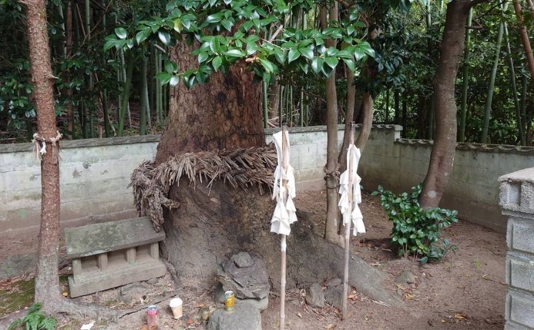 真名井遺跡(まないいせき)