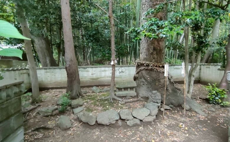 真名井遺跡(まないいせき)