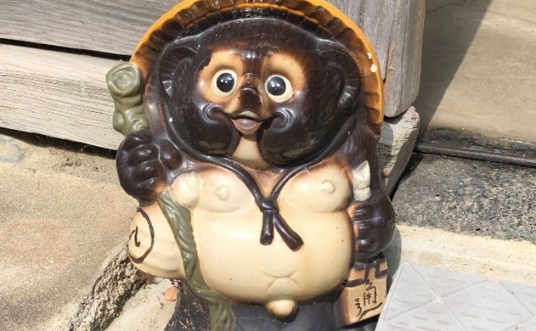 たぬき