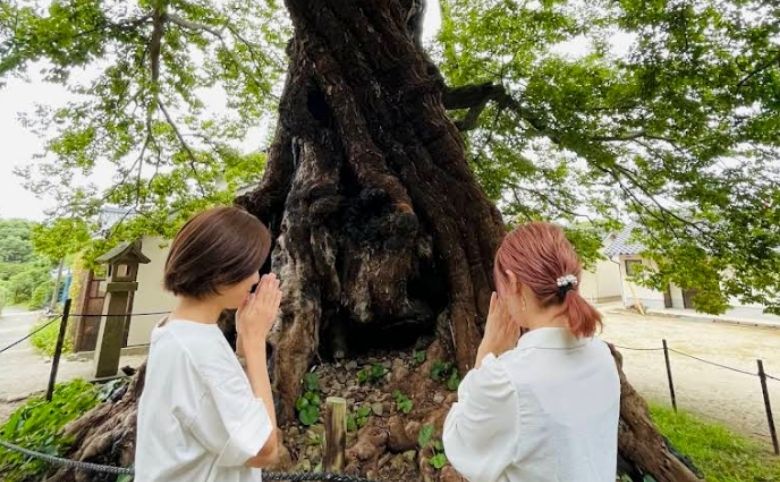 命主社のムクノキ