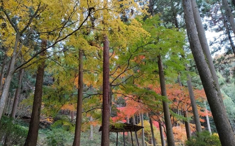 勝定寺（しょうじょうじ）の庭園