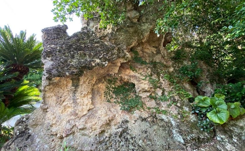 屏風岩(びょうぶいわ)