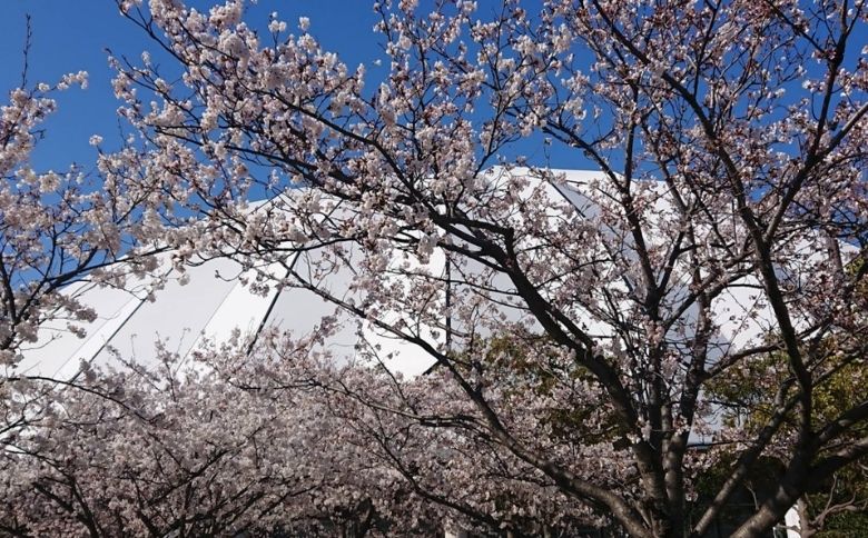 ピクニングスポット