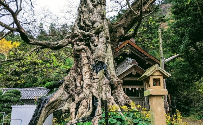 真名井の清水(まないのしみず)