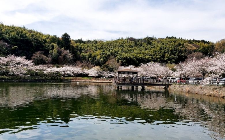 ピクニングスポット