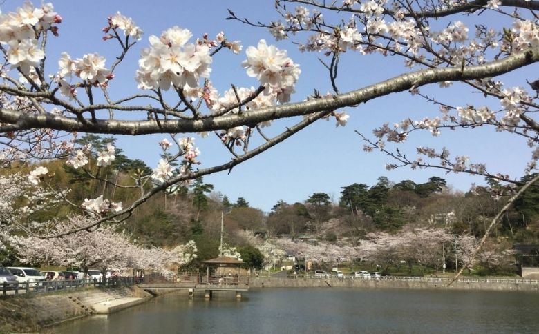 ピクニングスポット