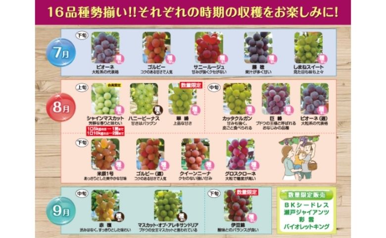 ぶどう狩り