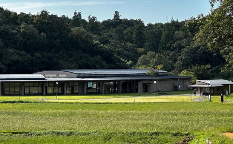 荒神谷遺跡（こうじんだにいせき）