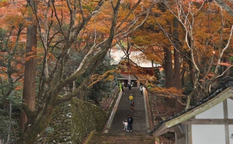 紅葉