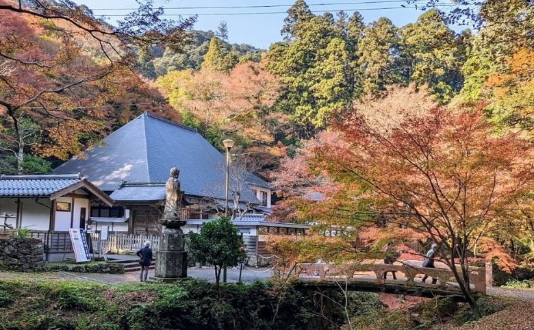 紅葉