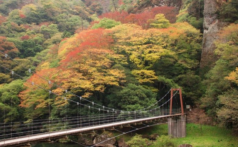 紅葉