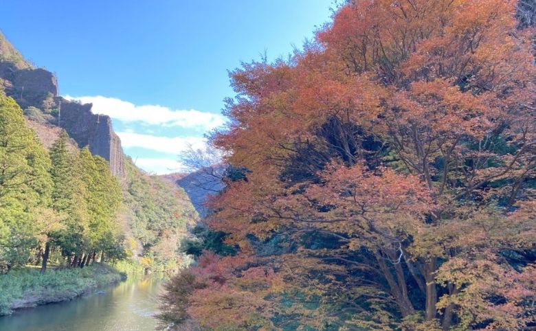 紅葉