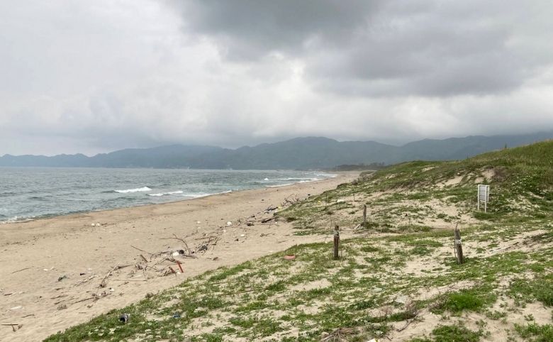 海水浴場