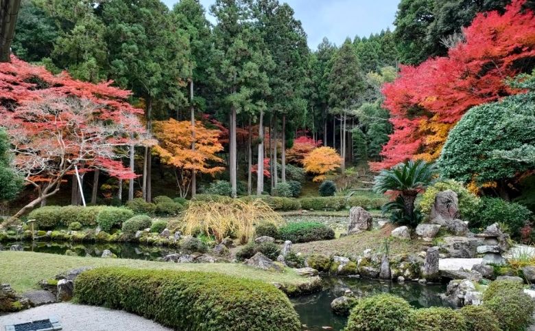 紅葉