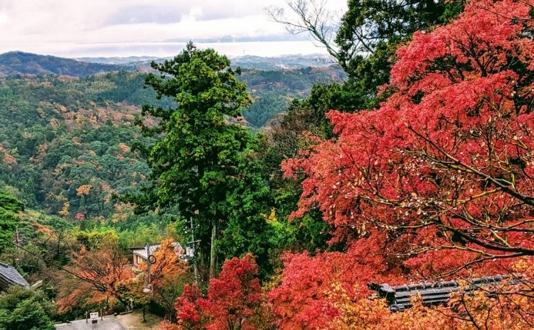 紅葉