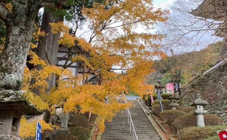 紅葉