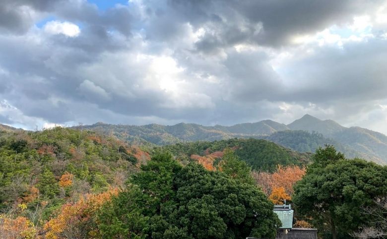 紅葉