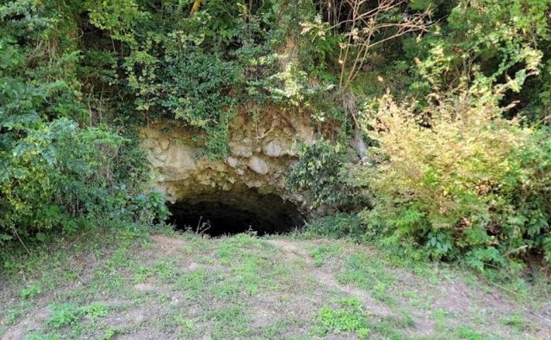 魚雷庫（ぎょらいこ）