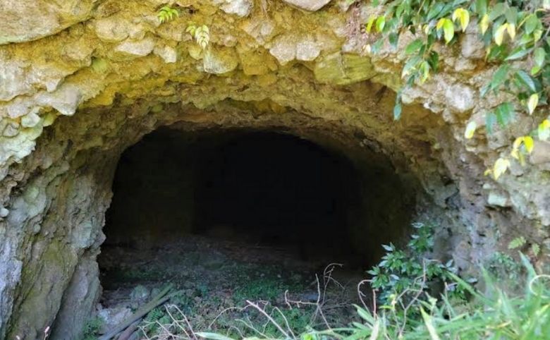 魚雷庫（ぎょらいこ）