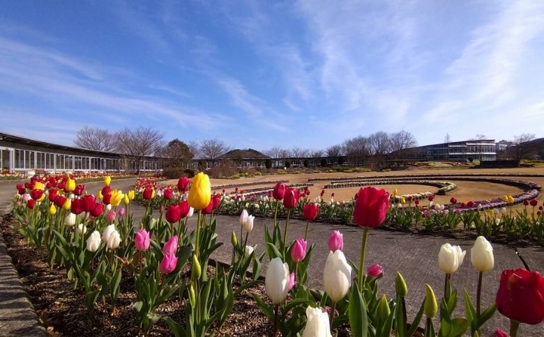 ピクニックスポット