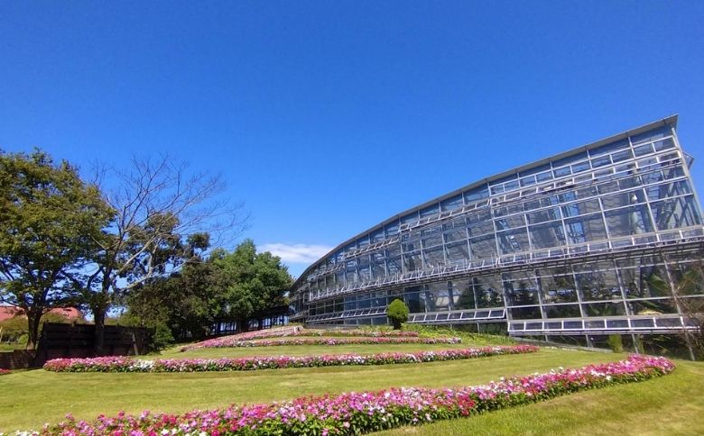 ピクニックスポット