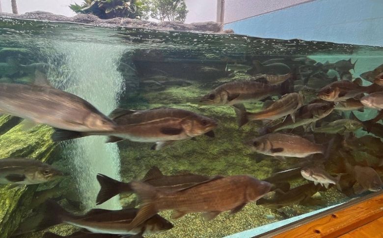 水族館内部