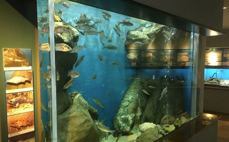 水族館内部