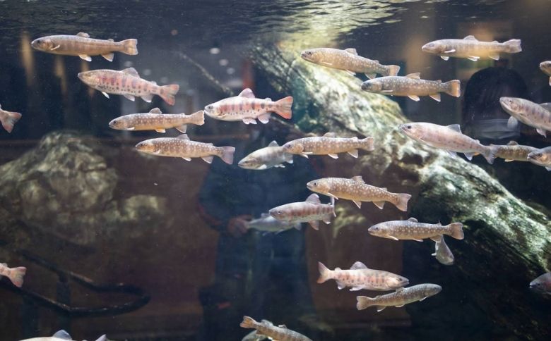 水族館内部