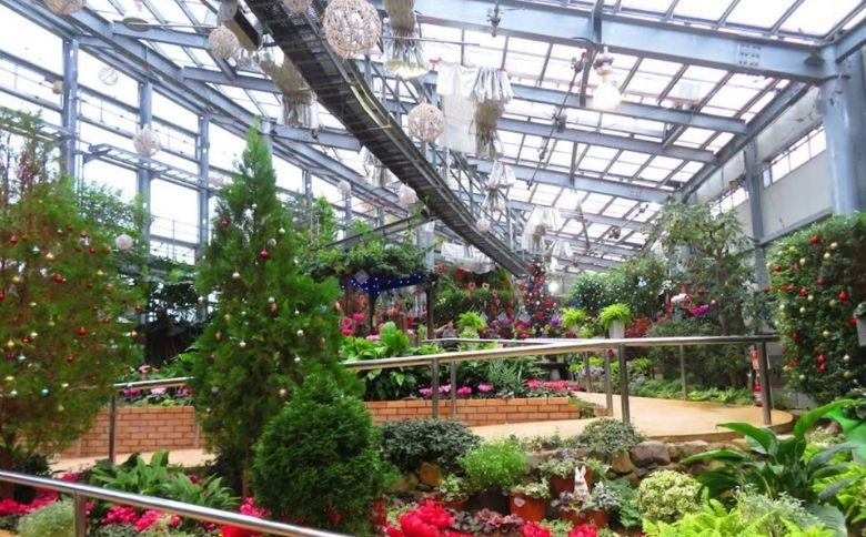 ピクニックスポット