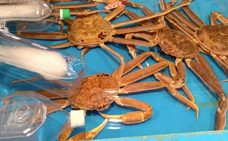 蟹料理
