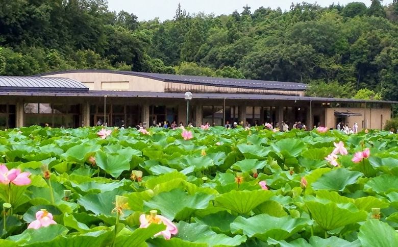 博物館