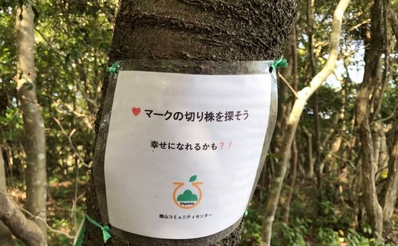 ハイキング