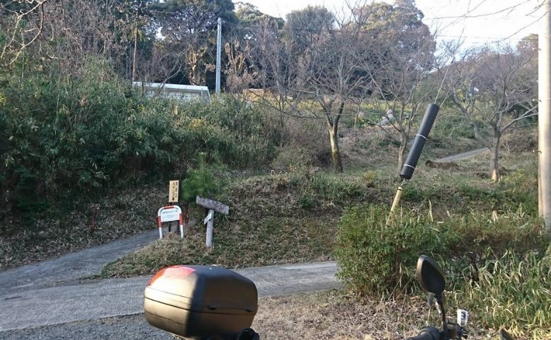 ウォーキングコース