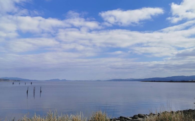 ピクニックスポット