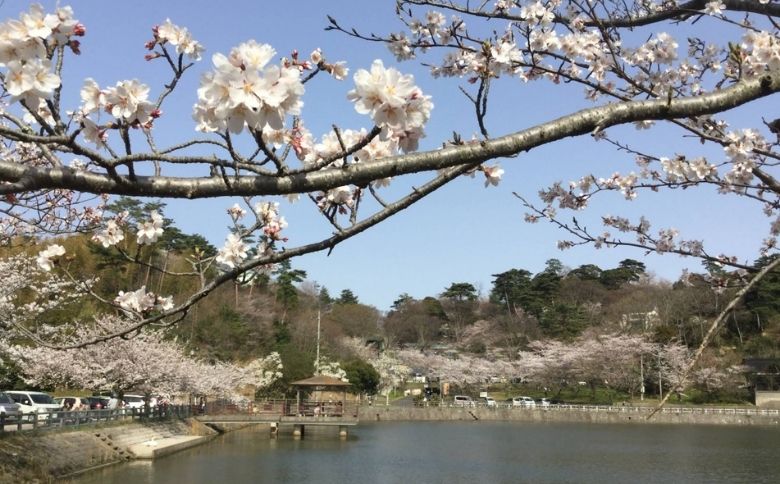愛宕山公園 動物広場
