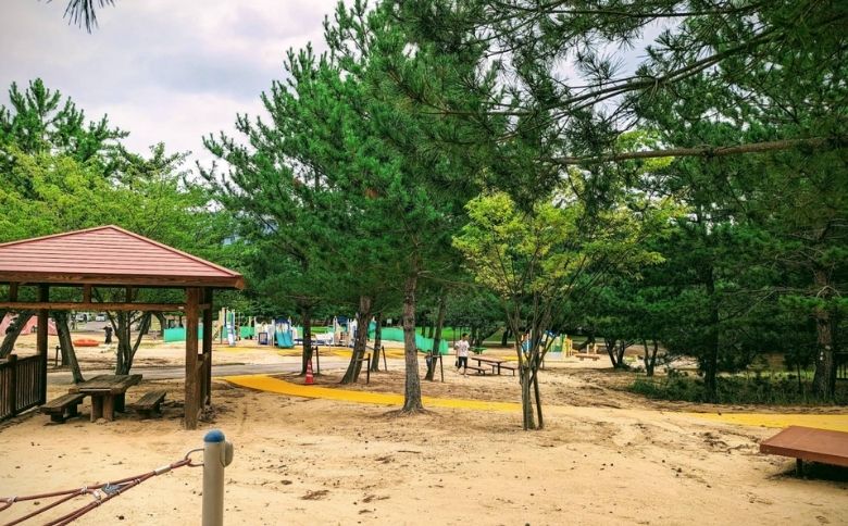 ピクニングスポット