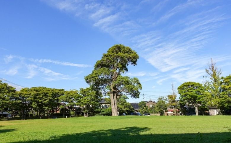 ピクニックスポット