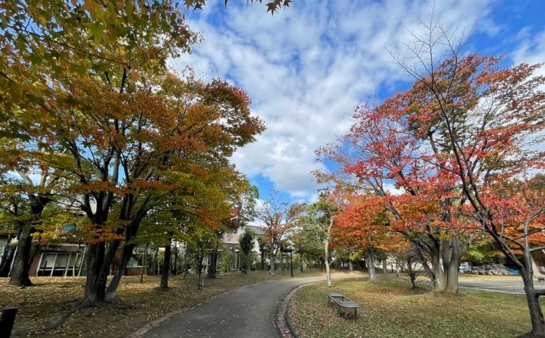 ピクニックスポット