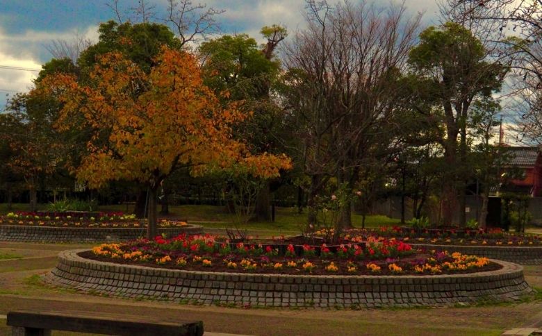 ピクニックスポット