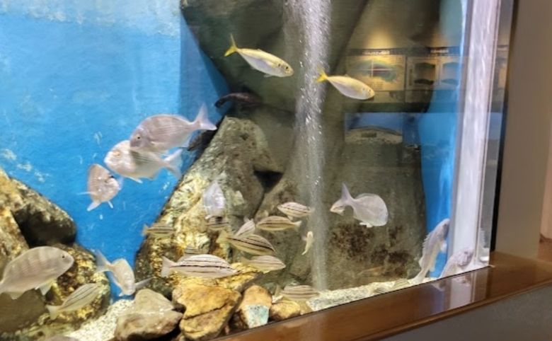 島根県立宍道湖自然館ゴビウス
