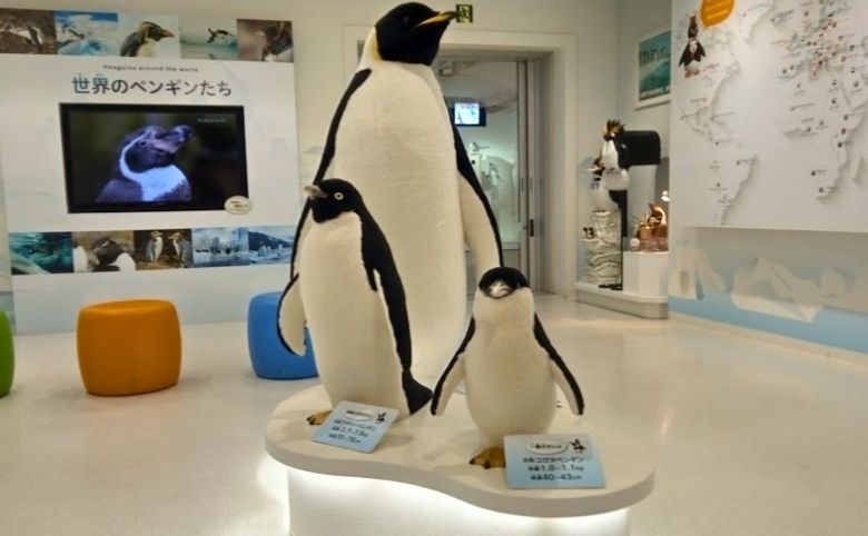 宍道湖公園 湖遊館