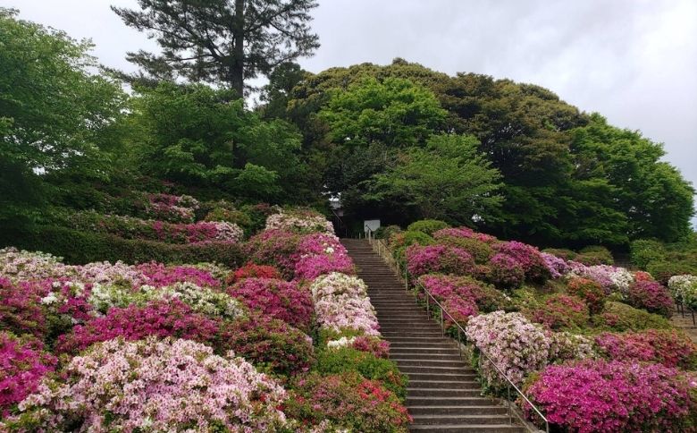 公園
