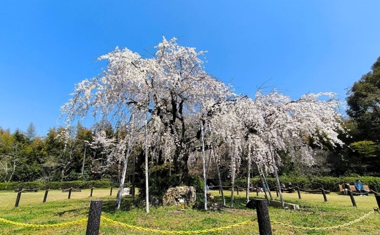 公園
