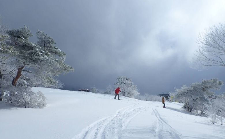 スキー場・ゲレンデ