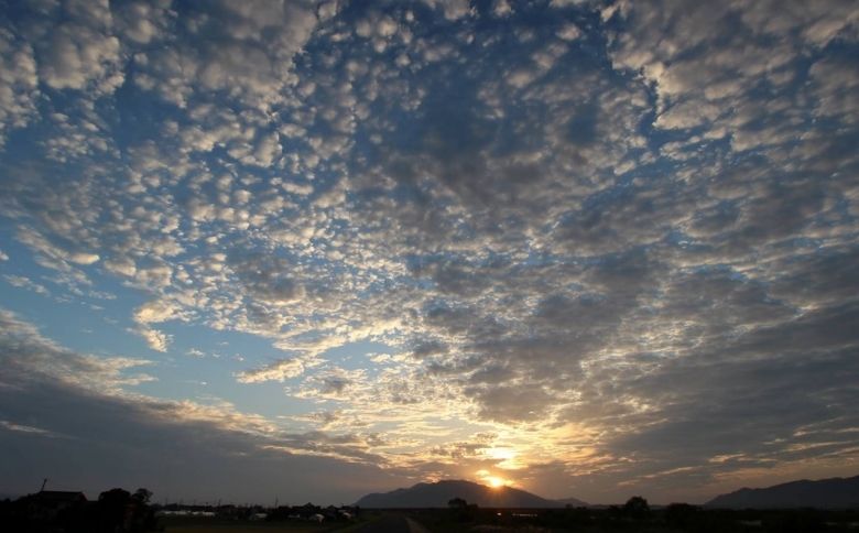 宍道湖西岸なぎさ公園