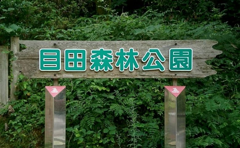キャンプ場