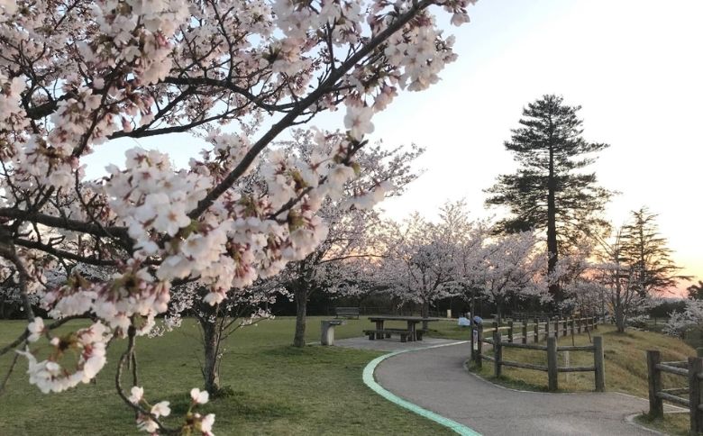 公園
